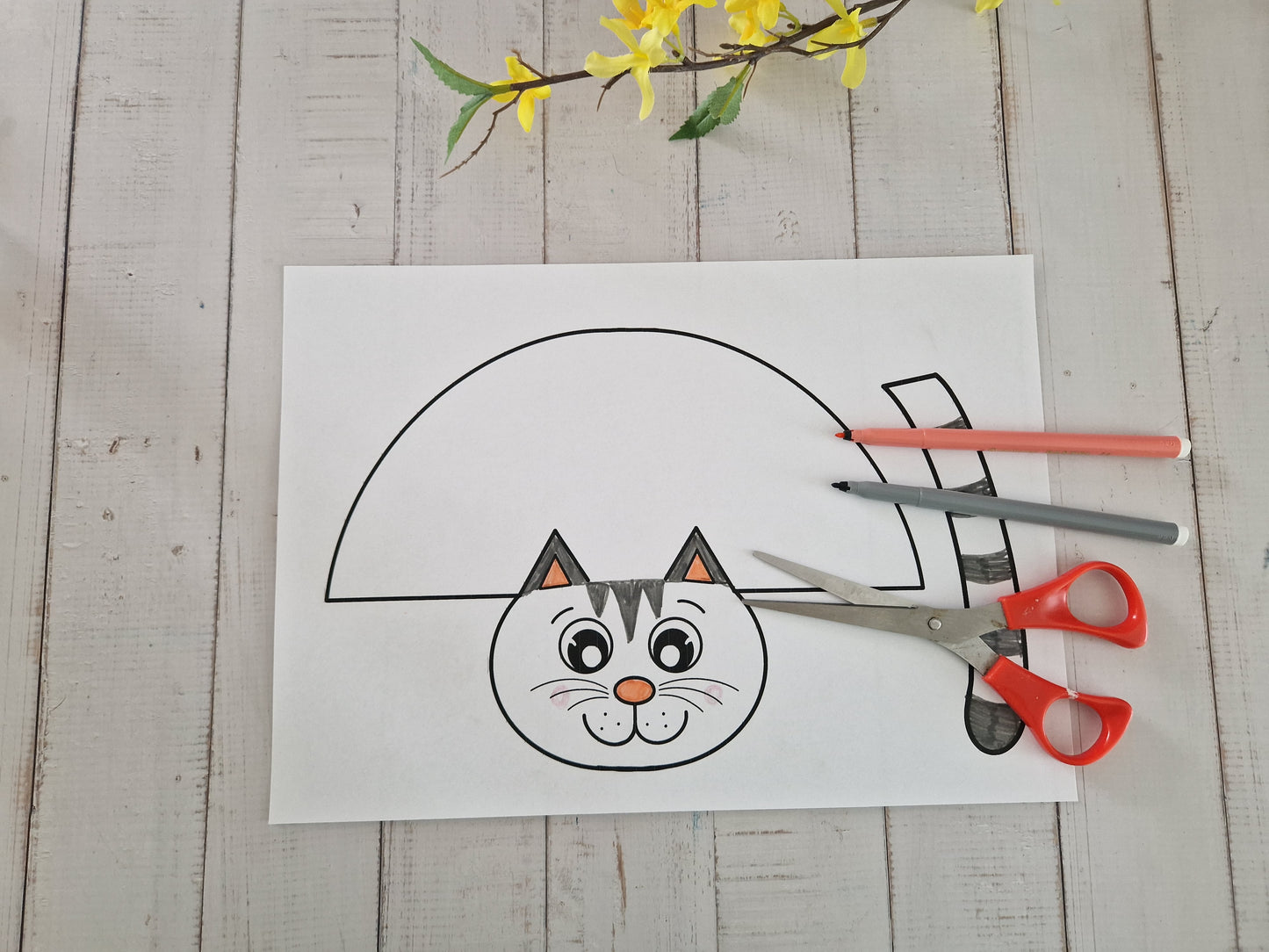 Cute Cats