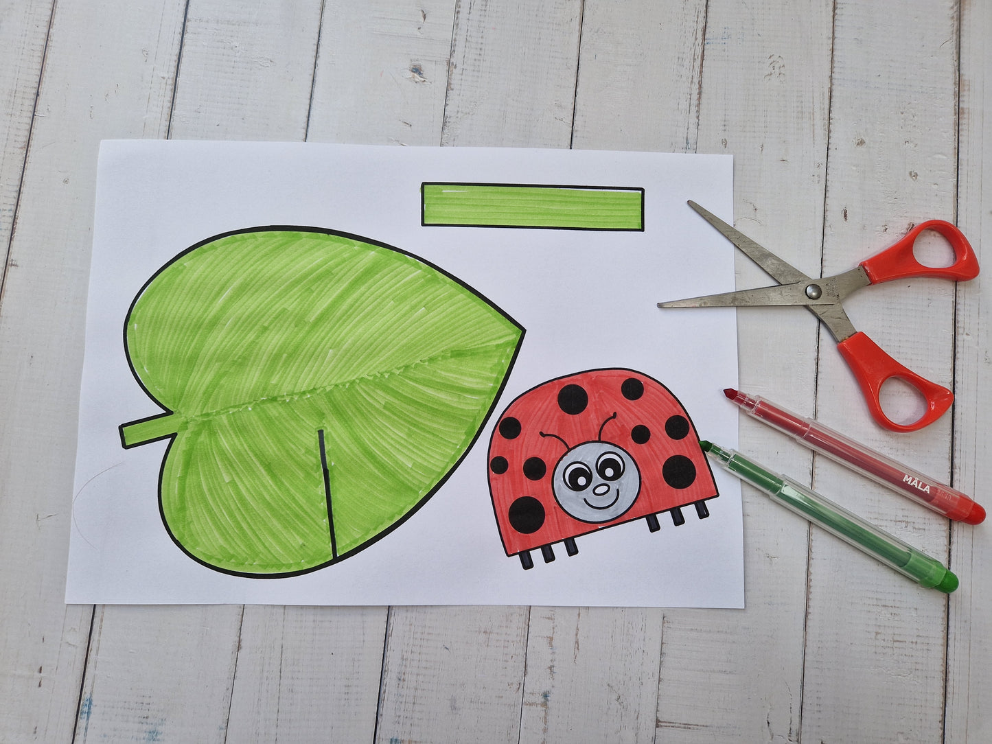 Ladybug