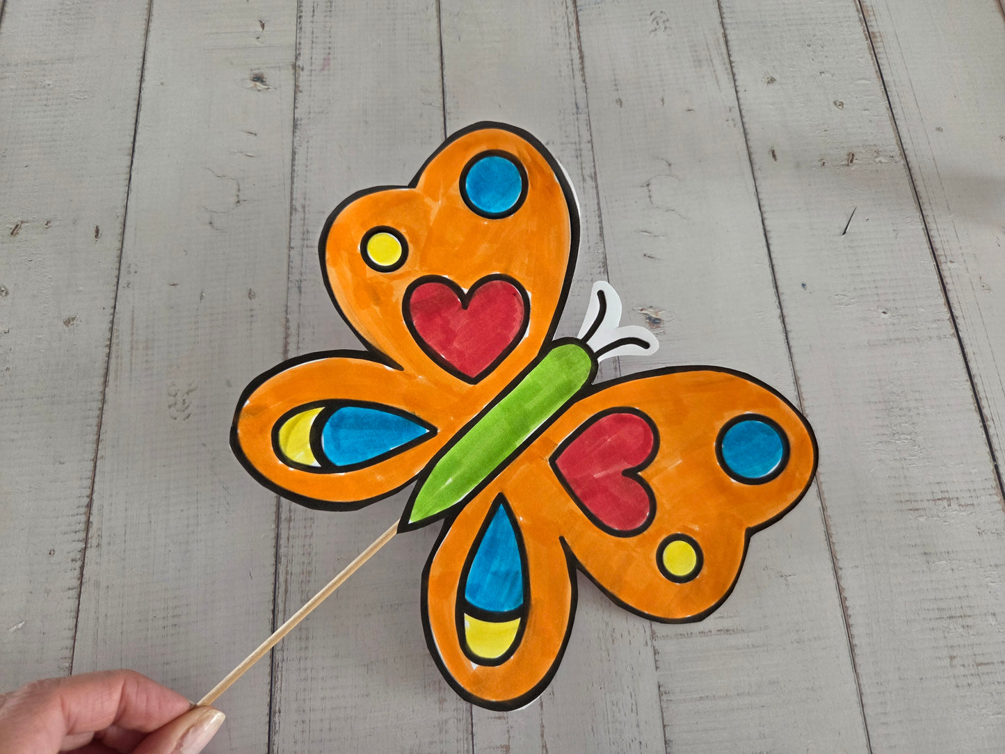 Butterfly