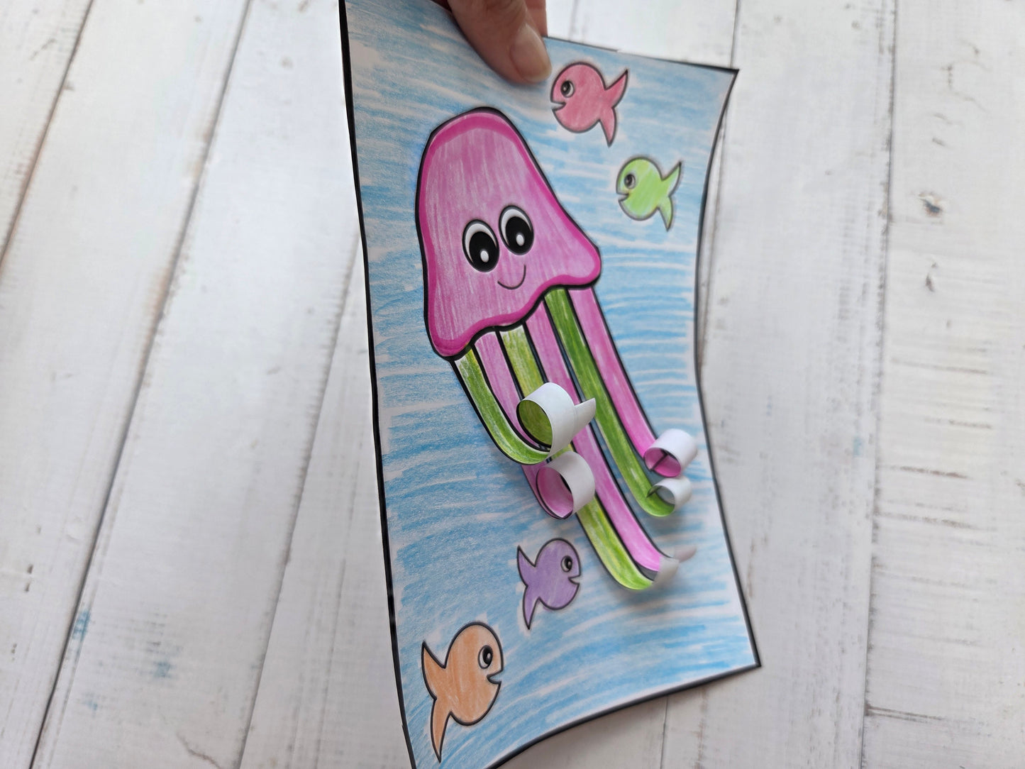 Jellyfish