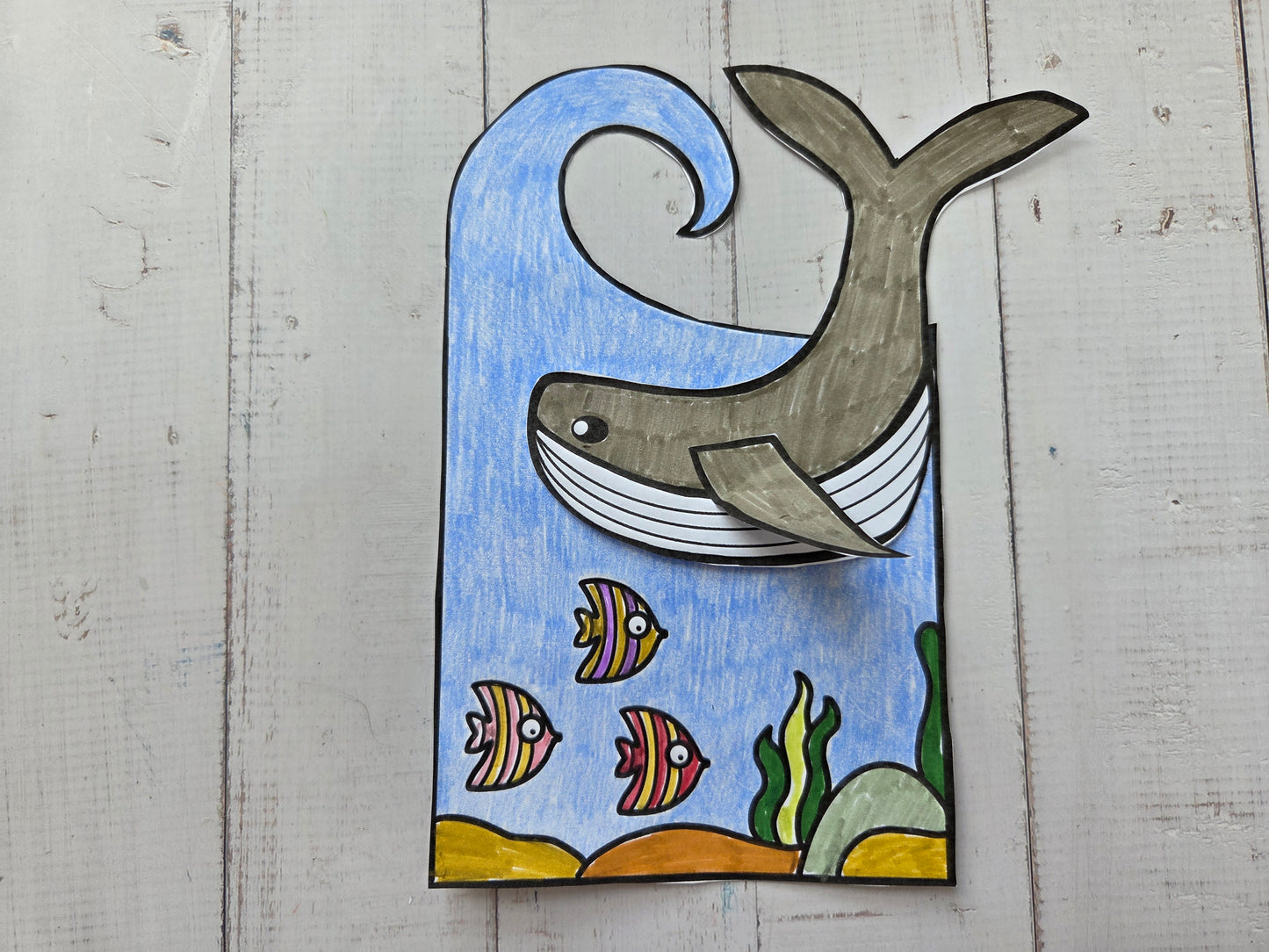 Whale in the sea