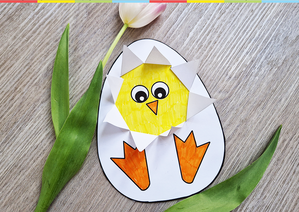 Hatching Chicken