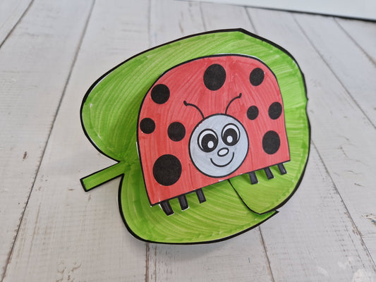 Ladybug