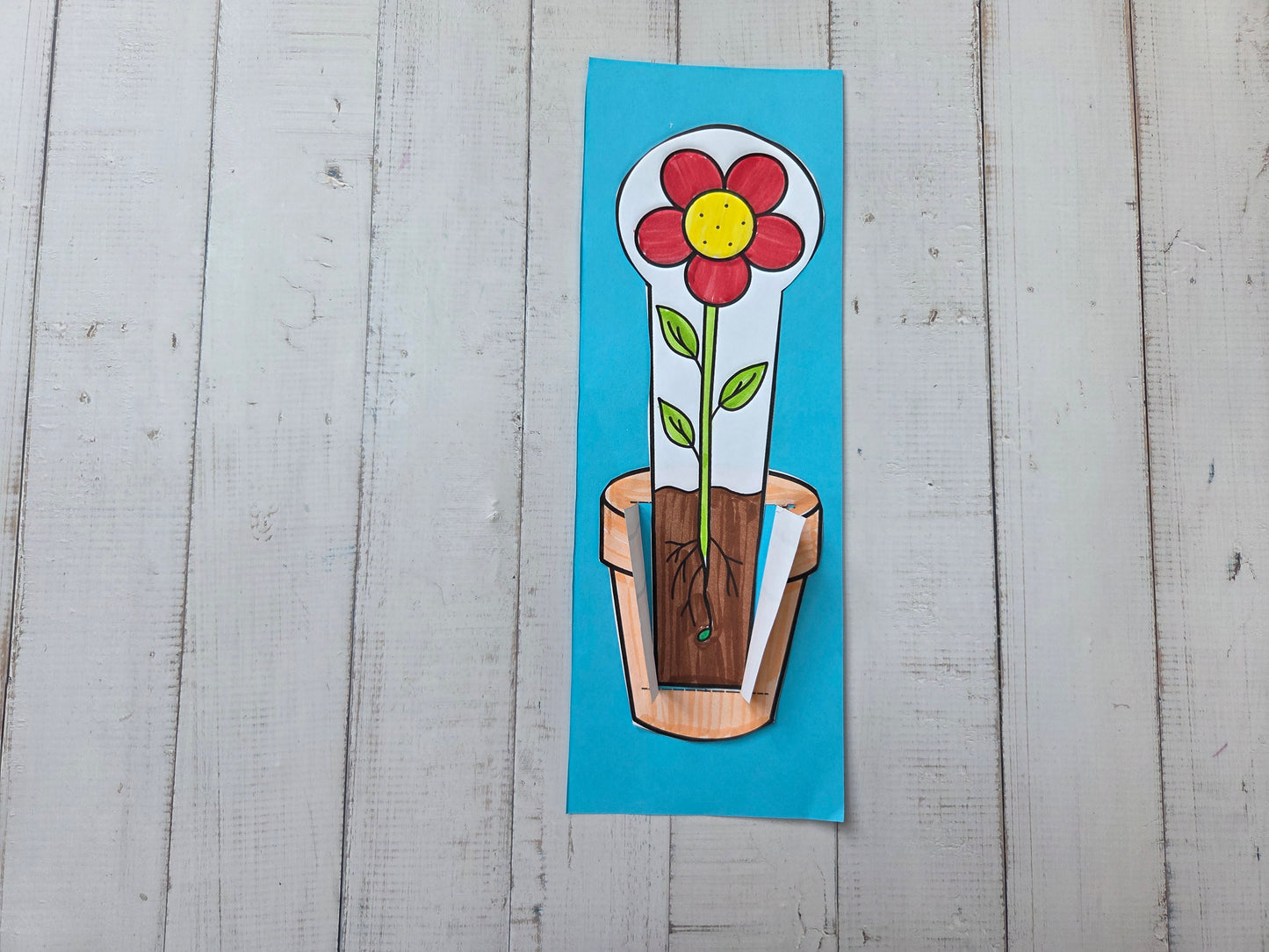 Flower in pot