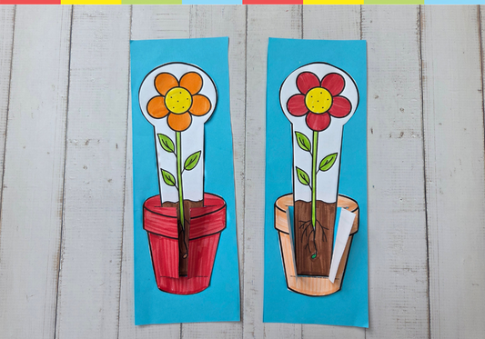 Flower in pot